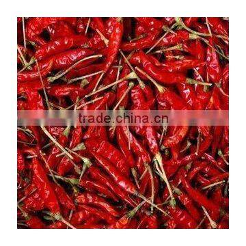 high quantity chilli importer from china