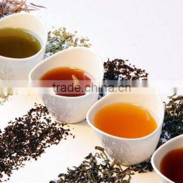 All Indian Tea Sampler Pack (Contains 250 samples of finest Darjeeling Tea Assam Tea Sikkim Tea Nilgiri Tea