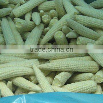 IQF Baby Corn