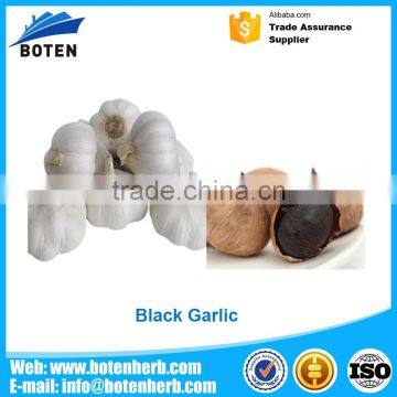 factory hot sales Black Garlic Extract Liquid Sold On Alibaba