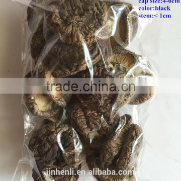 Chinese Dried Black Shiitake Mushroom 1LB