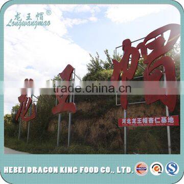 2016 Bulk Buying Top Quality Food Ingredients Sweet Apricot Kernel From China Factory photo-6