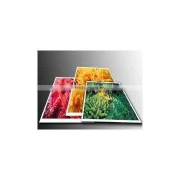 Crystal Lustre Photo Paper 220g 180g