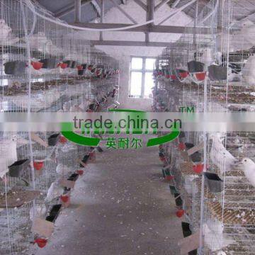 Galvanized 2m 4 Tier 16 Nests Pigeon Transport Cage