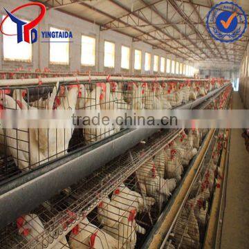 China Beekeeping Supplies photo-6