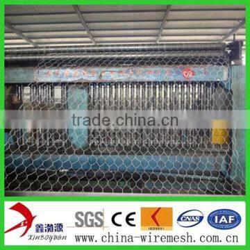 Poultry Netting/hexagonl Wire Mesh (facyory) photo-2