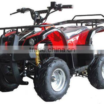 800W Brushless Motor / Shaft Elelctric Quad ATV 800W (TKE-A800-G) photo-4
