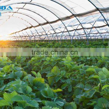 High Quality Cheap Poly Tunnel Greenhouse photo-2