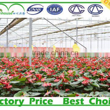 Agriculture Inflatable Greenhouse Used photo-3