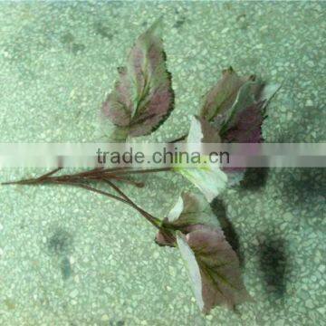 Home and Outdoor Garden Edging Christmas Decoration 60cm or 24inches Height Artificial Small Grass for Green Wall E04 1014 photo-4