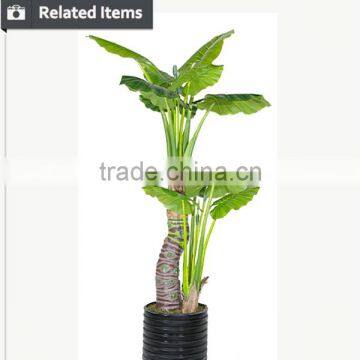 Indoor Home Decorative Artificial Bonsai Tree for Sale and for Hotel and House Landscape photo-5