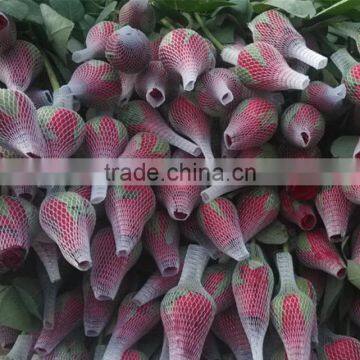 Packing Material Rose Bud EPE Net photo-4