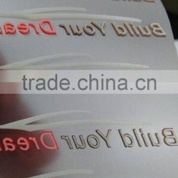 Jiabao Widely Used Silk Screen Printing MEDIA Pet Film for Printing photo-3