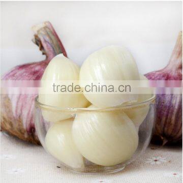 Wholesale Chinese Fresh Purple and White Garlic With High Quality and Best Price photo-6