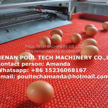 Brazil Poultry Farm Equipment - H Frame Full Automatic Layer Chicken Cage & Battery Chicken Cage & Laying Hen Cage for Farmer in Shed photo-3