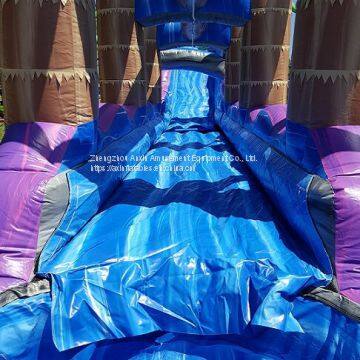 Inflatable Slip and Slide Inflatable Water Slide Axs-17 photo-4