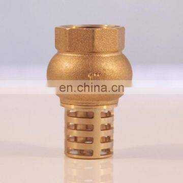 Brass/Stainless Steel/Cast Iron Foot Valve