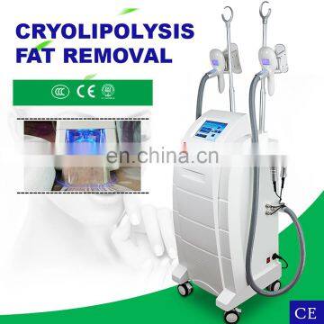 Fat Freezing Cryolipolysis for Belly and Whole Body With 2 Handles Work at the Same Time