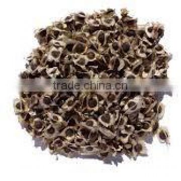 Premium Moringa seeds