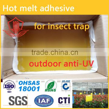 Pest control glue/ insect trap adhesive