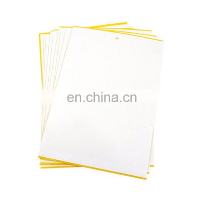 Coconut Grove double-sided yellow sticky insect board  production  wholesale  fruit fly insect board  wasp sticky board