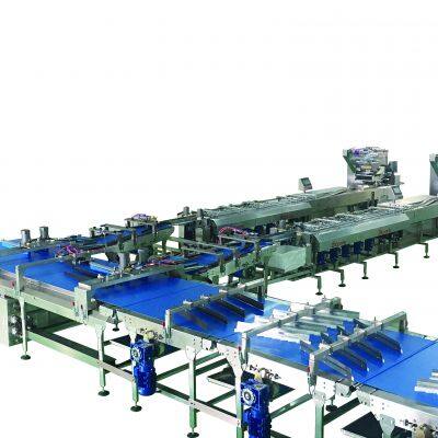 DOUBLE LINE FEEDING & PACKING LINE ONLINE SANDWICH