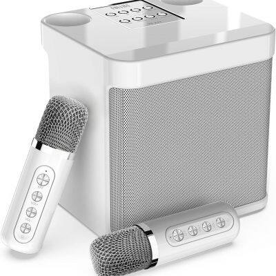 10w Hifi Karaoke Speaker with Mic Bluetooth Speaker with Microphone Dual Mic Karaoke set home speaker