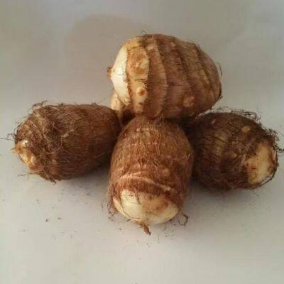 Fresh Taro