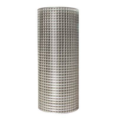 Hot-Dipped Galvanized Welded Wire Mesh 25m 30m Length Square Hole Shape Cut-to-Order for Breeding Industry Wholesale Price