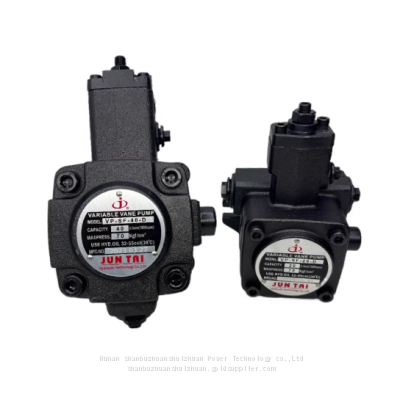 Hydraulic Oil Pumps VP30 Vane Pumps VP-SF-20-D VP-SF-12/15-D VP-SF-30/40-D