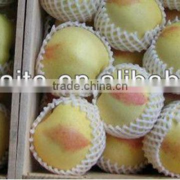 Different Sizes Plastic Fruit Netting