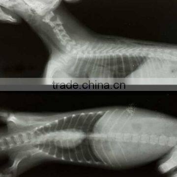 x-ray film price of china factory, agfab film dt2b of alibaba supplier