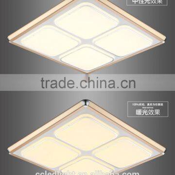 Rectangle Simiple Ceiling Lamp Hanging Lighting UL CE Certified Led Ceiling Lamp photo-2