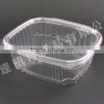 plastic cake container