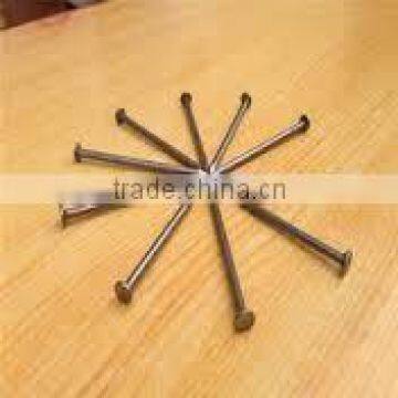 Building common wire nail, Construction Common nail iron nail