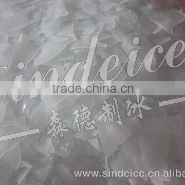 Sindeice Great Demand Flake Ice Drum 2.5T/24h photo-5