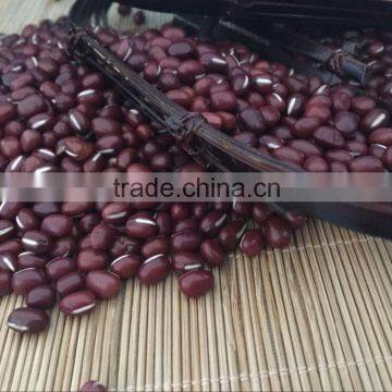 Chinese Adzuki Beans for Europ photo-5