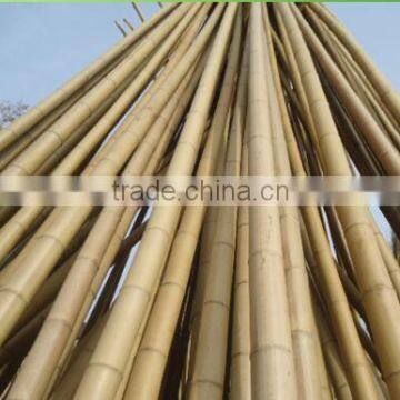 High Quality Bamboo Poles 6mm-60mm with Cheap Price raw bamboo poles yellow bamboo poles