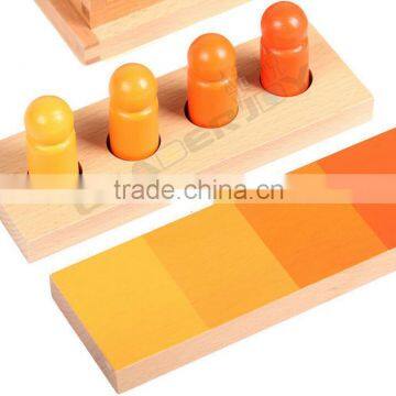 Montessori Educational Toys for Color Resemblance Sorting Task