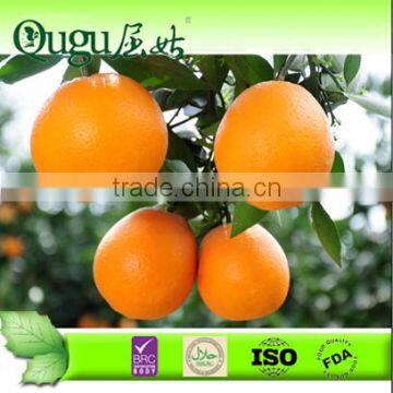 2014 Fresh navel orange