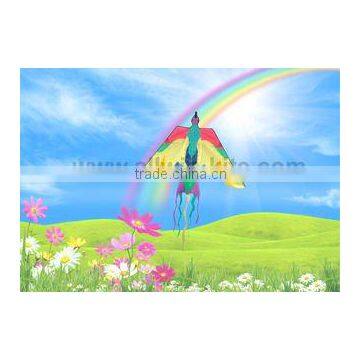 Bird Kites in Pocket