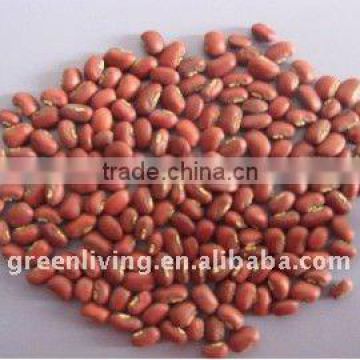 sell China cowpea