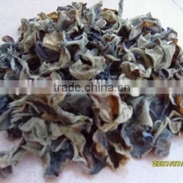 Good food black fungus form Jutai