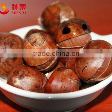 Roasted Shelled Chestnut Snacks--ready to Eat Healthy Nuts Snacks photo-2