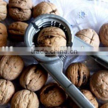 walnut in shell offer