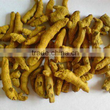 VIETNAM TURMERIC FINGER