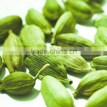 Cardamom