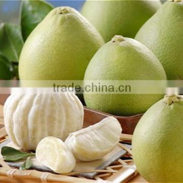 white flesh pomelo