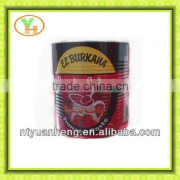 2200g China Hot Sell Canned tomato paste with high quality food dubai importers