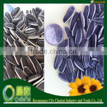 Hot Sell Raw Material Sunflower Seeds Nuts